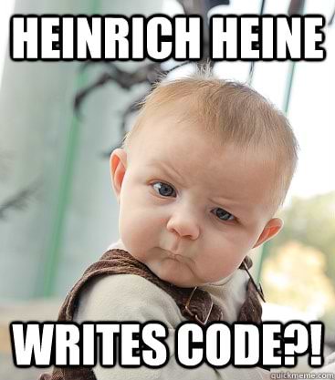 Hiene writes code