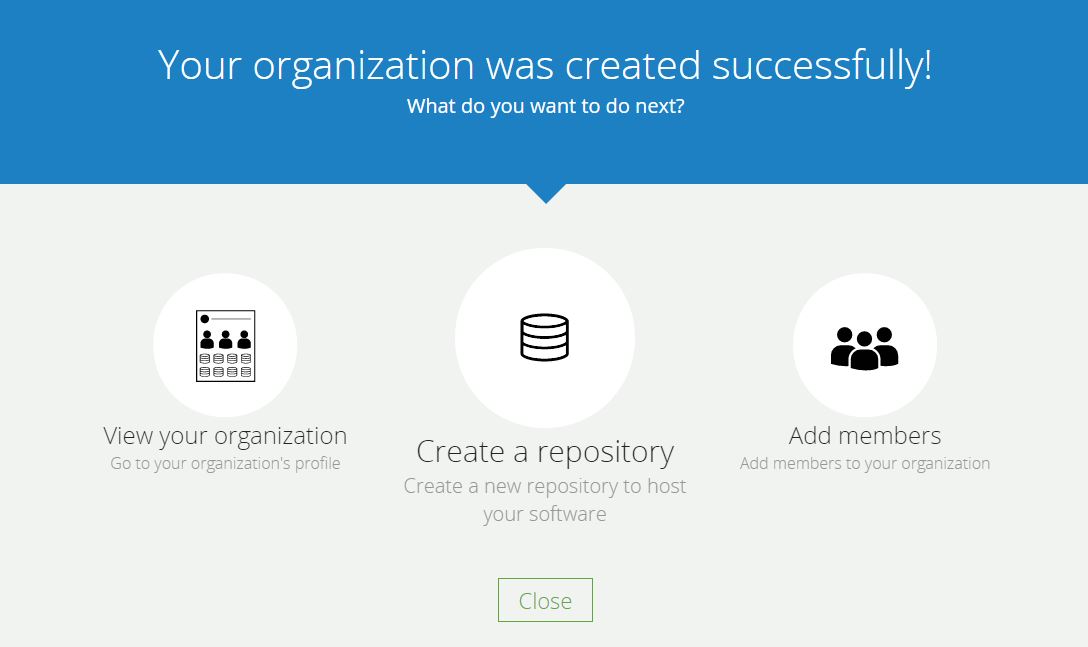 Organization was created successfully