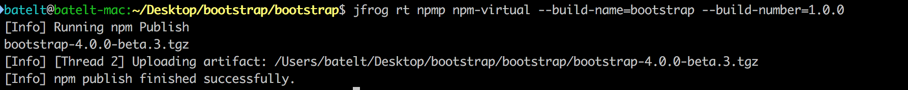 4 Publish npm packages