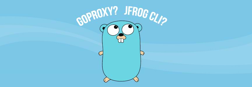 How To Overcome The Problems With Goproxy For Go Modules Jfrog Cli