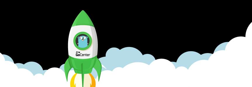 Best Practices For Go Modules With Golang 1 13 Jfrog Gocenter