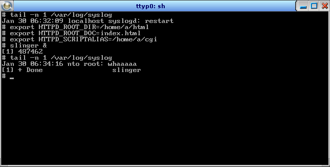 Demonstrating remote code execution