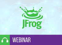 The Top 10 Finance companies trust their software supply chain to JFrog