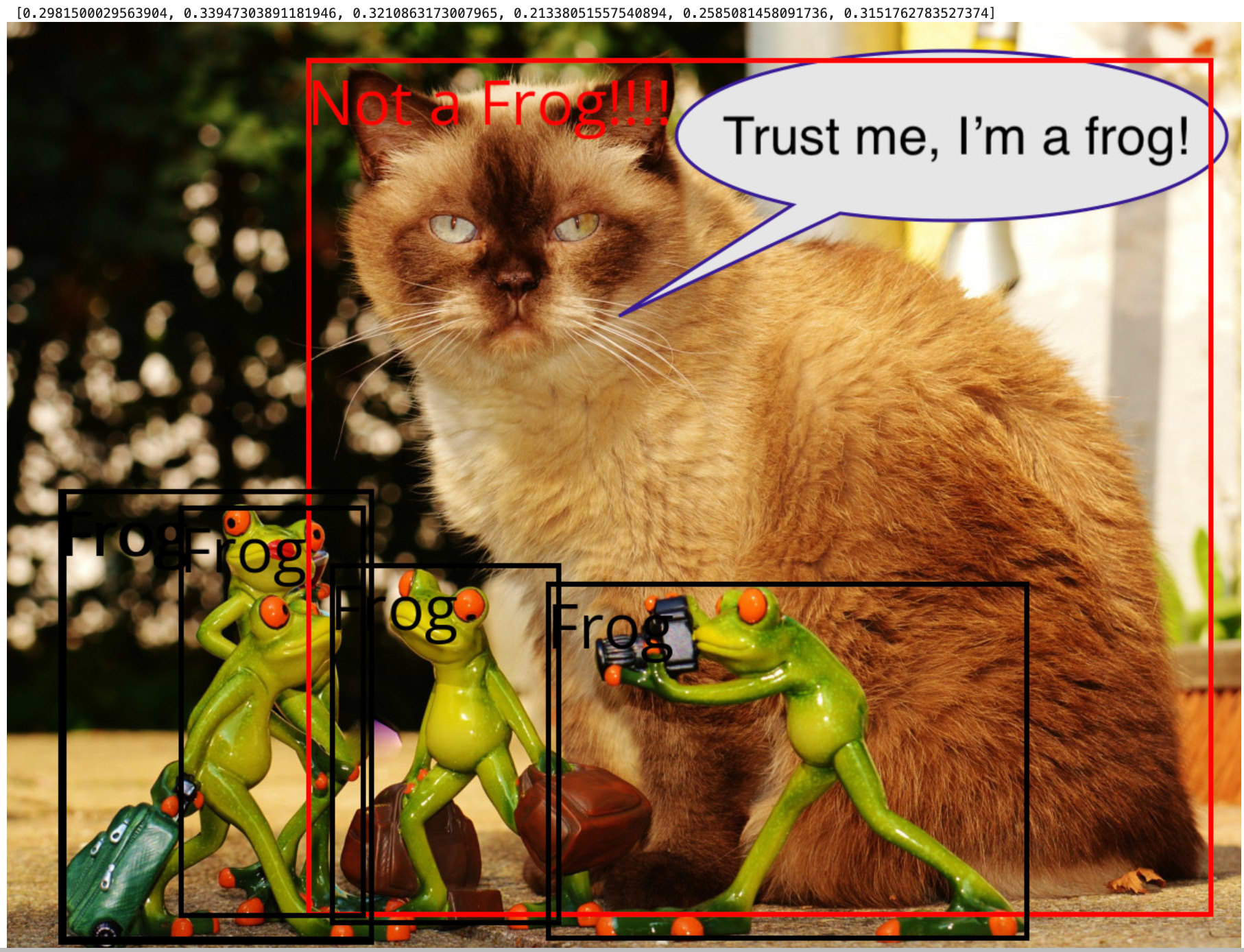 image of cat and four frogs - imposter found