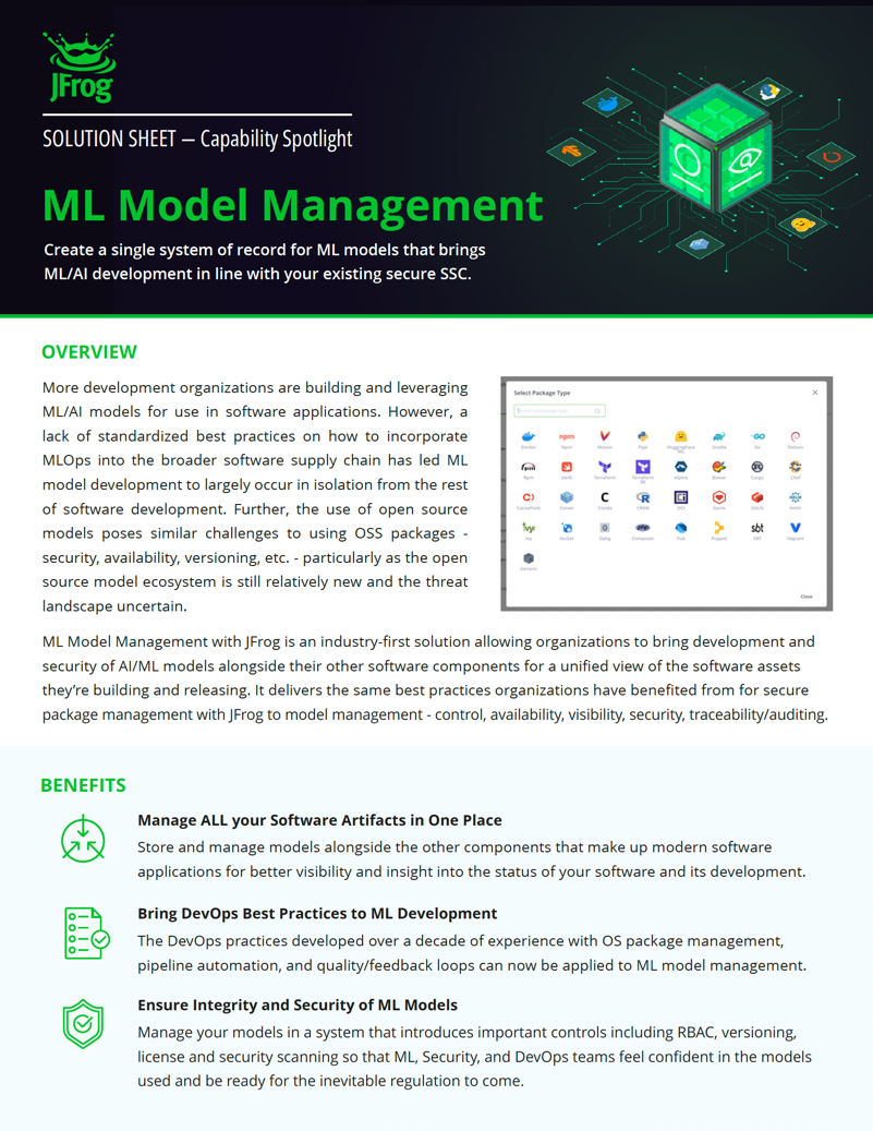 ML Model Management